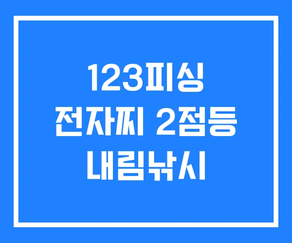 123피싱 전자찌 2점등 내림낚시