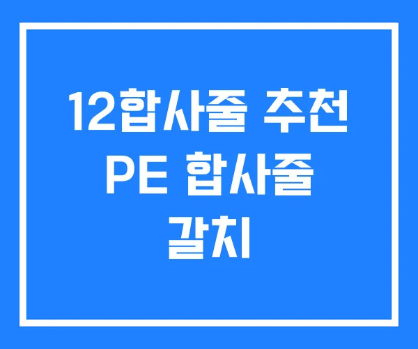 12합사줄 추천 PE 합사줄 갈치 12합사줄 추천 PE 합사줄 갈치