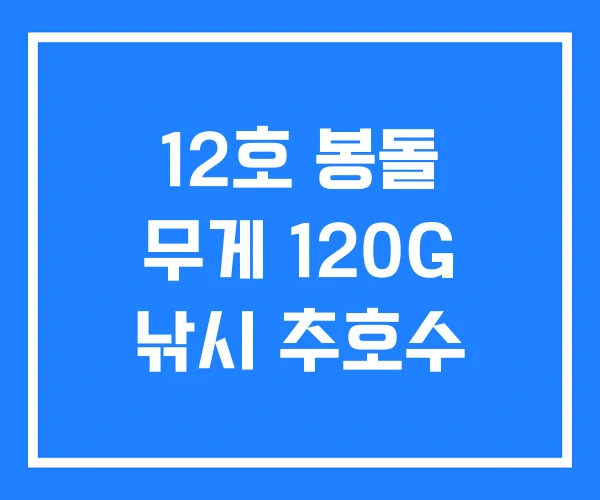 12호 봉돌 무게 120G 낚시 추호수 12호 봉돌 무게 120G 낚시 추호수