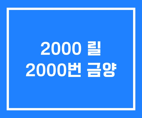 2000 릴 2000번 금양