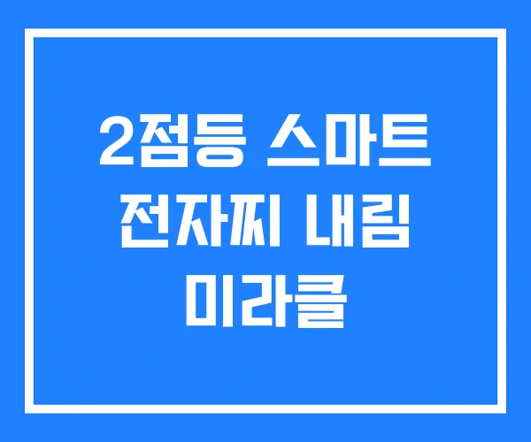 2점등 스마트 전자찌 내림 미라클 2점등 스마트 전자찌 내림 미라클