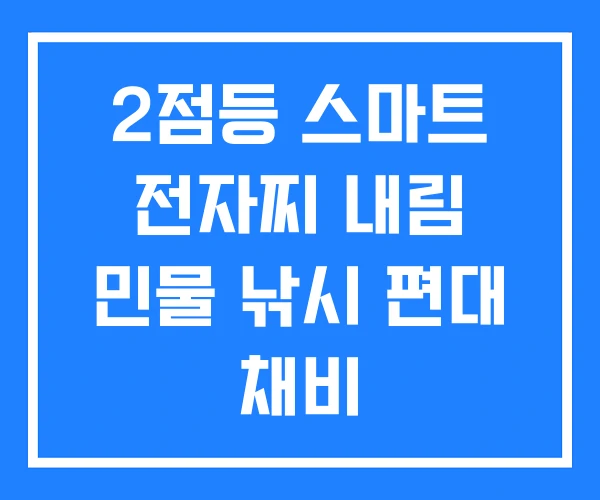 2점등 스마트 전자찌 내림 민물 낚시 편대 채비 2점등 스마트 전자찌 내림 민물 낚시 편대 채비