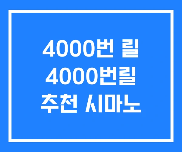 4000번 릴 4000번릴 추천 시마노