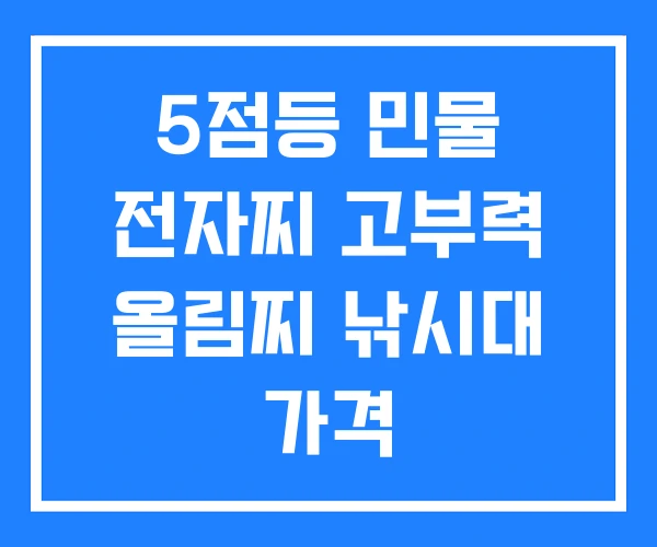 5점등 민물 전자찌 고부력 올림찌 낚시대 가격