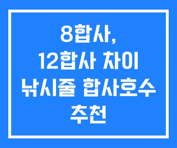 8합사, 12합사 차이 낚시줄 합사호수 추천
