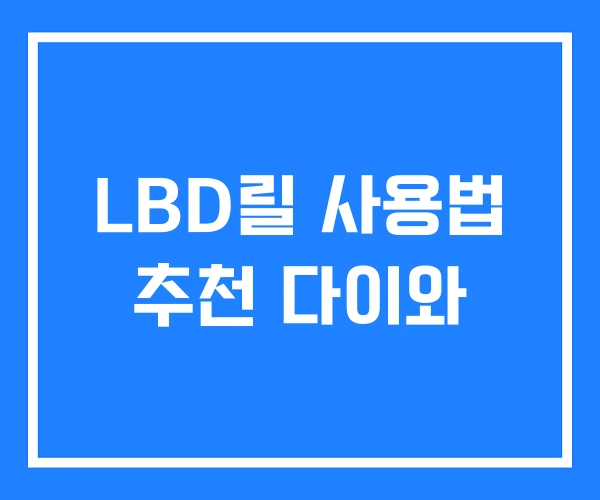 LBD릴 사용법 추천 다이와