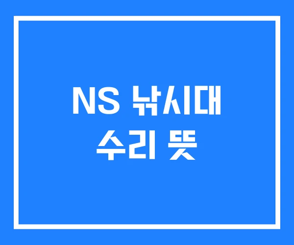 NS 낚시대 수리 뜻