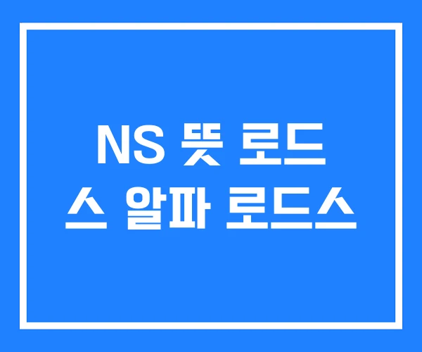NS 뜻 로드 스 알파 로드스