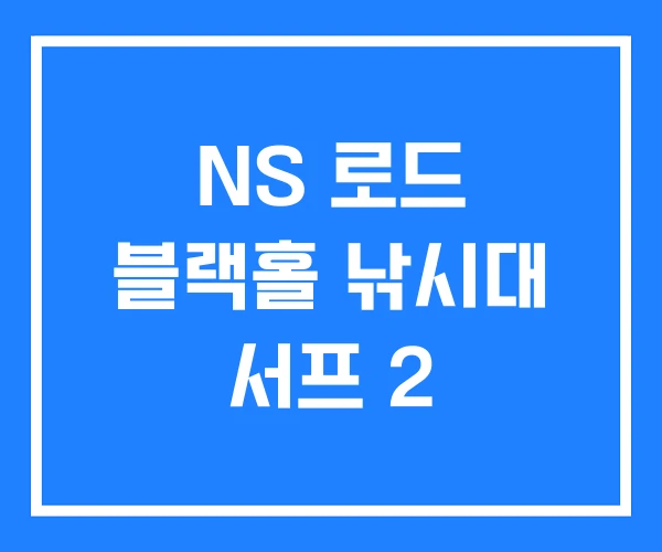 NS 로드 블랙홀 낚시대 서프 2 NS 로드 블랙홀 낚시대 서프 2