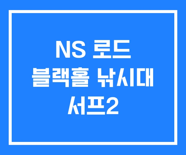 NS 로드 블랙홀 낚시대 서프2 NS 로드 블랙홀 낚시대 서프2
