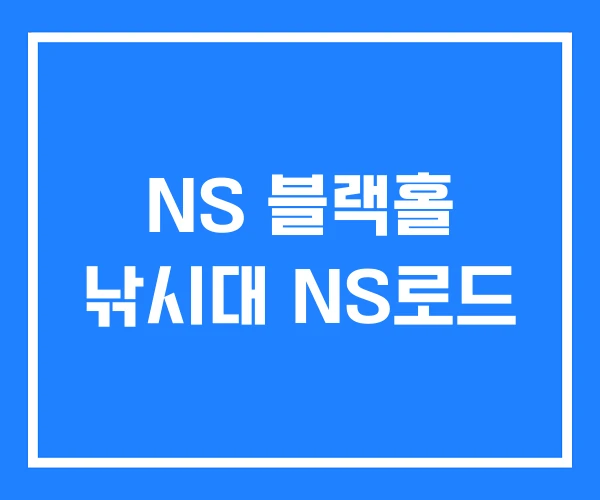 NS 블랙홀 낚시대 NS로드