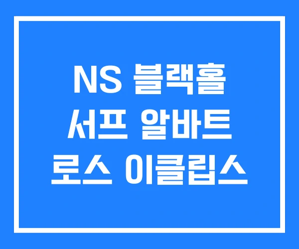 NS 블랙홀 서프 알바트 로스 이클립스 NS 블랙홀 서프 알바트 로스 이클립스