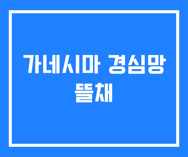 가네시마 경심망 뜰채 가네시마 경심망 뜰채