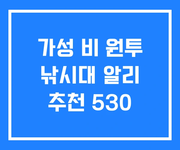 가성 비 원투 낚시대 알리 추천 530