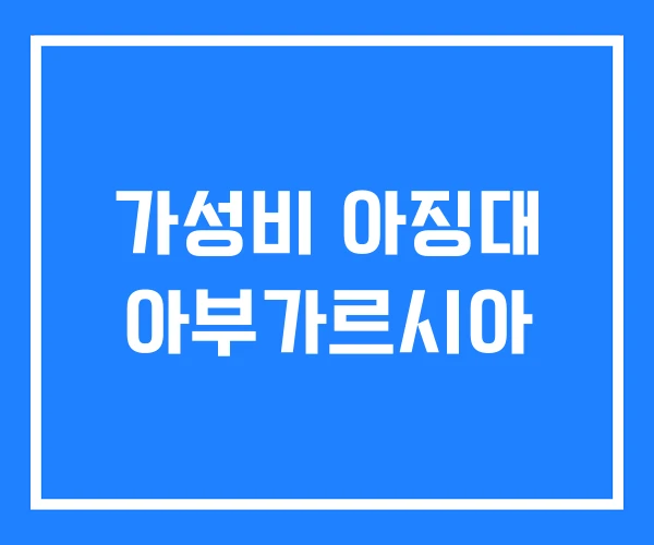 가성비 아징대 아부가르시아