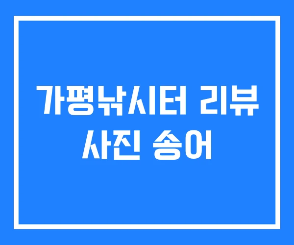 가평낚시터 리뷰 사진 송어 가평낚시터 리뷰 사진 송어