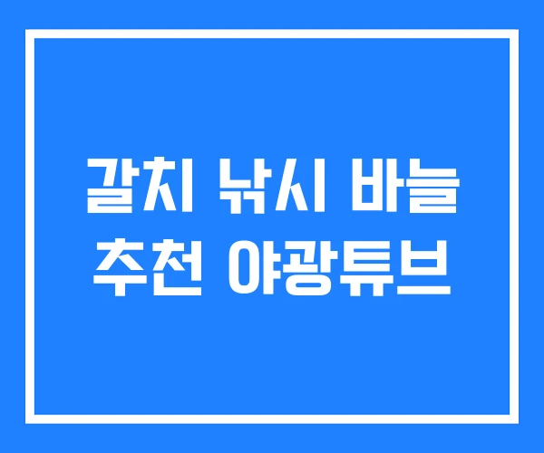 갈치 낚시 바늘 추천 야광튜브 갈치 낚시 바늘 추천 야광튜브