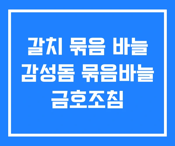 갈치 묶음 바늘 감성돔 묶음바늘 금호조침 갈치 묶음 바늘 감성돔 묶음바늘 금호조침
