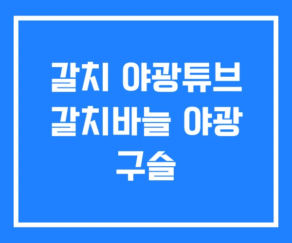 갈치 야광튜브 갈치바늘 야광 구슬 갈치 야광튜브 갈치바늘 야광 구슬
