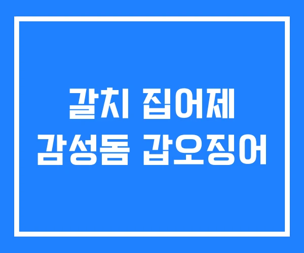 갈치 집어제 감성돔 갑오징어