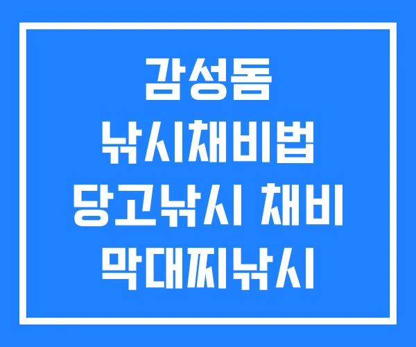 감성돔 낚시채비법 당고낚시 채비 막대찌낚시 채비법 감성돔 낚시채비법 당고낚시 채비 막대찌낚시 채비법