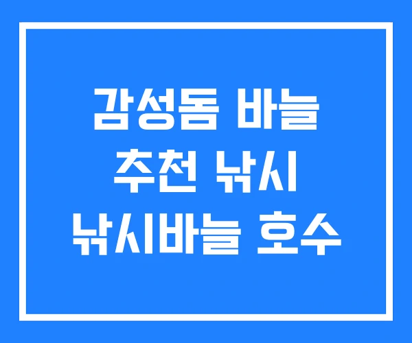 감성돔 바늘 추천 낚시 낚시바늘 호수 감성돔 바늘 추천 낚시 낚시바늘 호수