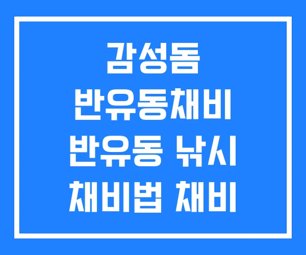 감성돔 반유동채비 반유동 낚시 채비법 채비