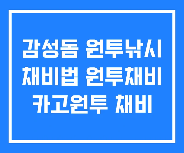 감성돔 원투낚시 채비법 원투채비 카고원투 채비 감성돔 원투낚시 채비법 원투채비 카고원투 채비