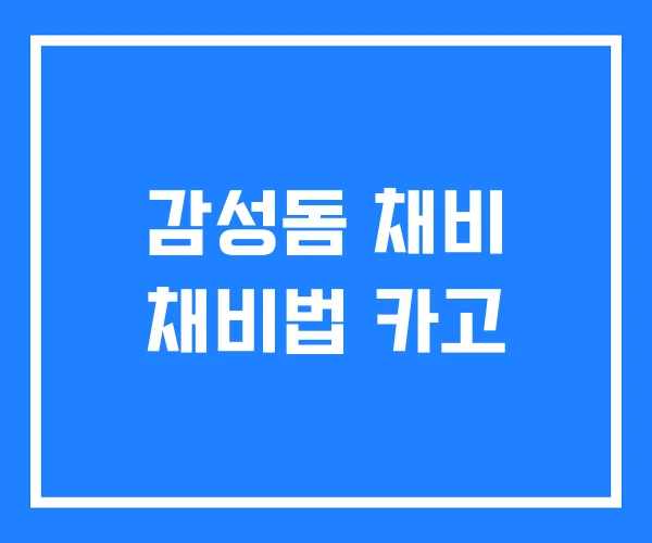 감성돔 채비 채비법 카고