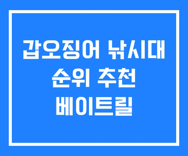 갑오징어 낚시대 순위 추천 베이트릴