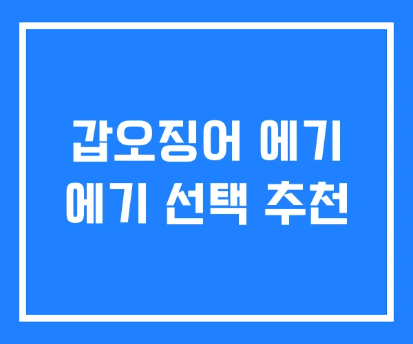 갑오징어 에기 에기 선택 추천