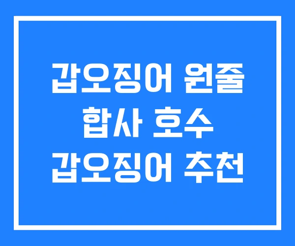 갑오징어 원줄 합사 호수 갑오징어 추천 갑오징어 원줄 합사 호수 갑오징어 추천