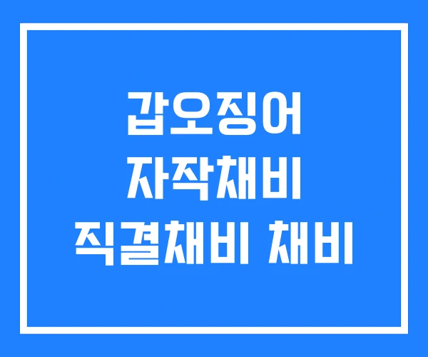 갑오징어 자작채비 직결채비 채비