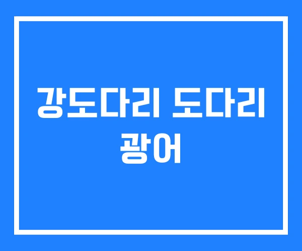 강도다리 도다리 광어
