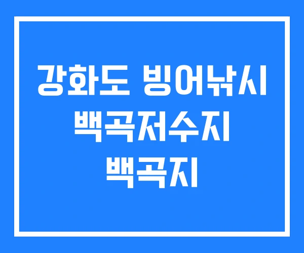 강화도 빙어낚시 백곡저수지 백곡지 강화도 빙어낚시 백곡저수지 백곡지