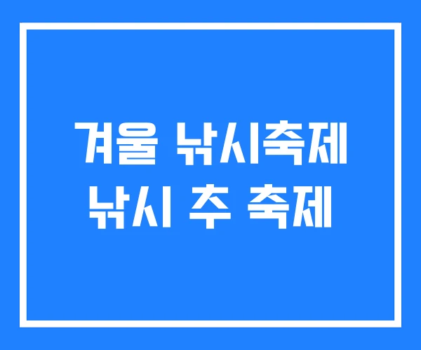 겨울 낚시축제 낚시 추 축제