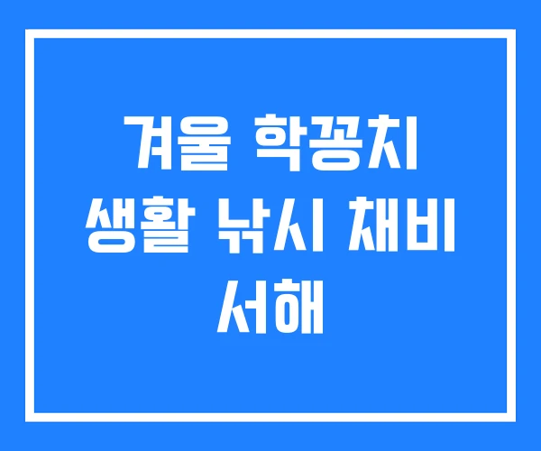 겨울 학꽁치 생활 낚시 채비 서해