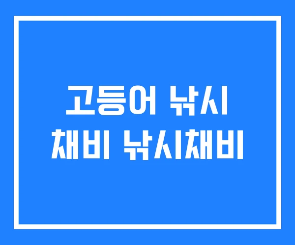 고등어 낚시 채비 낚시채비