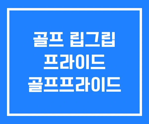 골프 립그립 프라이드 골프프라이드