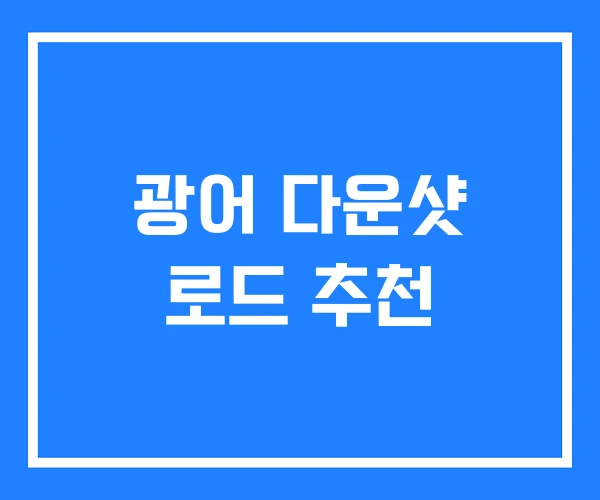 광어 다운샷 로드 추천 광어 다운샷 로드 추천