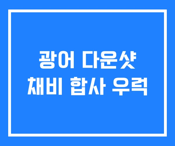광어 다운샷 채비 합사 우럭 광어 다운샷 채비 합사 우럭