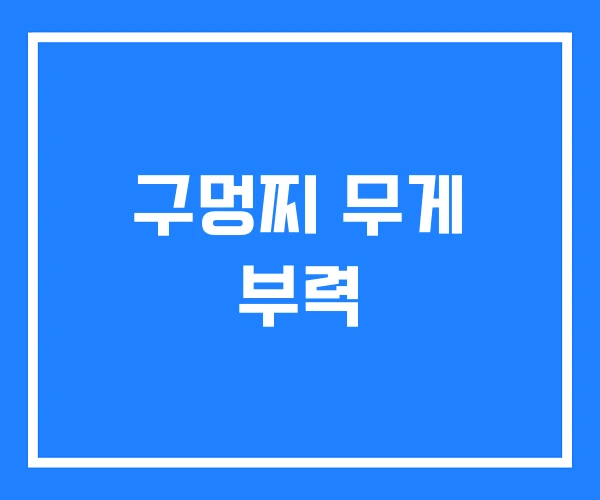 구멍찌 무게 부력