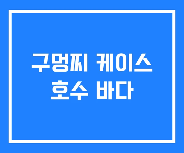 구멍찌 케이스 호수 바다 구멍찌 케이스 호수 바다