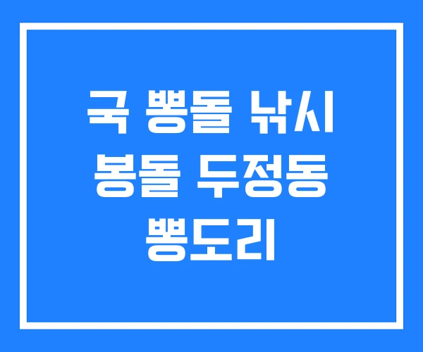 국 뽕돌 낚시 봉돌 두정동 뽕도리