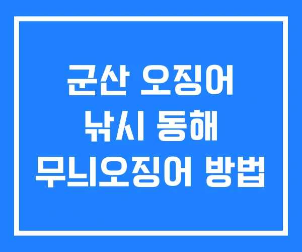 군산 오징어 낚시 동해 무늬오징어 방법 군산 오징어 낚시 동해 무늬오징어 방법