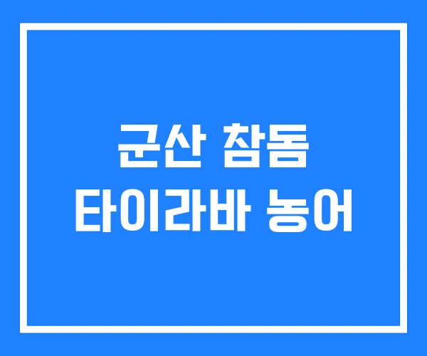 군산 참돔 타이라바 농어