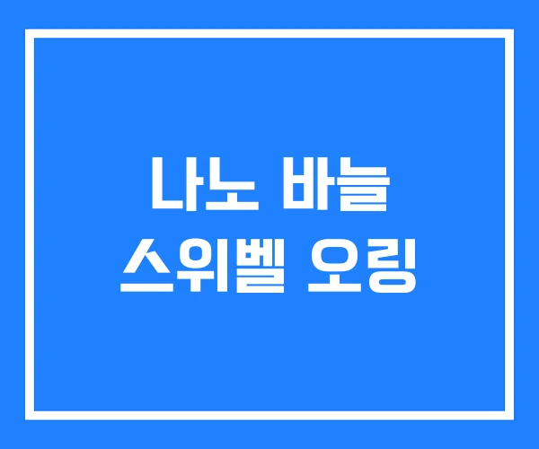 나노 바늘 스위벨 오링 나노 바늘 스위벨 오링