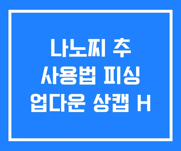 나노찌 추 사용법 피싱 업다운 상캡 H 나노찌 추 사용법 피싱 업다운 상캡 H