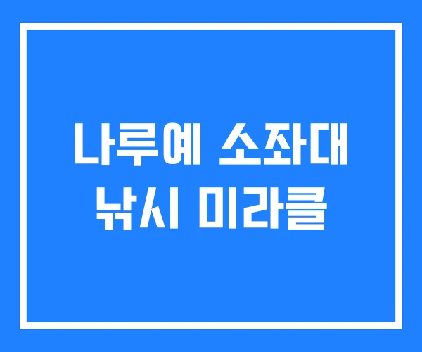 나루예 소좌대 낚시 미라클