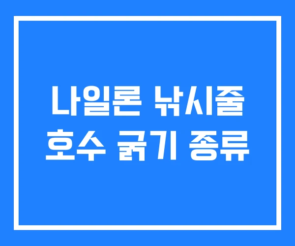 나일론 낚시줄 호수 굵기 종류 나일론 낚시줄 호수 굵기 종류